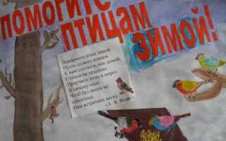 Картинки перелетные птицы весной с названиями для детей 66 фото