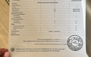 Обзор игрушек для волнистых попугаев